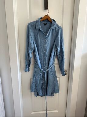Torrid Light Wash Denim Shirt Dress